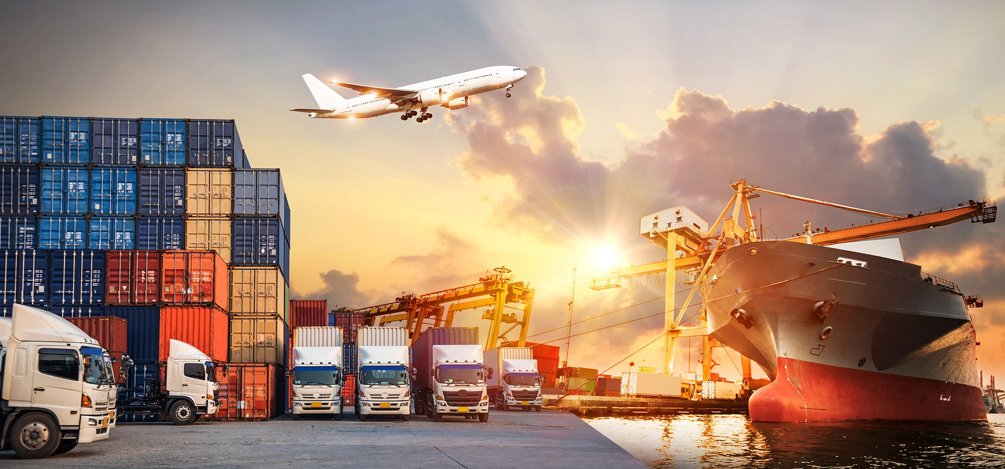 International Freight